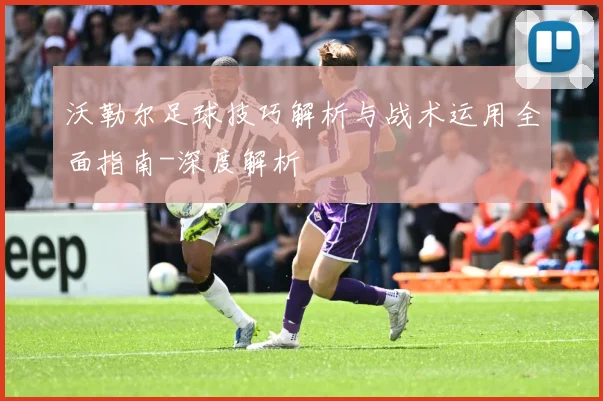 沃勒尔足球技巧解析与战术运用全面指南-深度解析