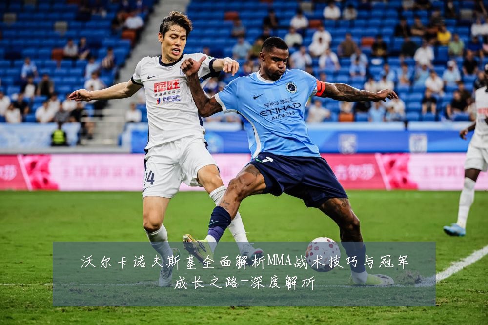 沃尔卡诺夫斯基全面解析MMA战术技巧与冠军成长之路-深度解析