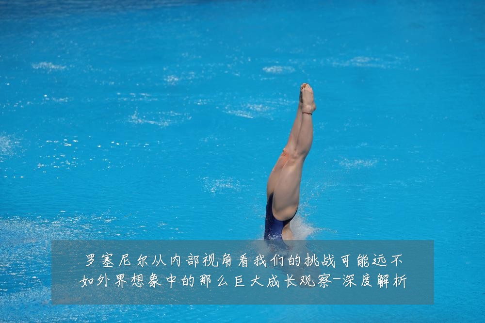 罗塞尼尔从内部视角看我们的挑战可能远不如外界想象中的那么巨大成长观察-深度解析