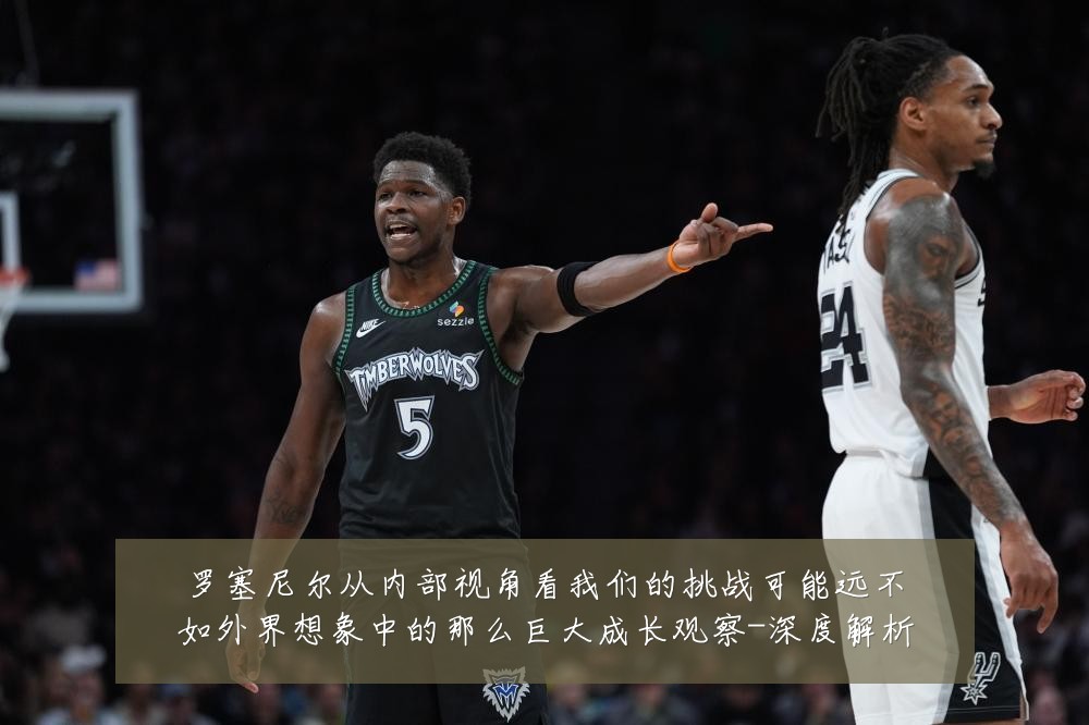 罗塞尼尔从内部视角看我们的挑战可能远不如外界想象中的那么巨大成长观察-深度解析